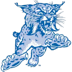 Kentucky Wildcats Primary Logo 1973 - 1986