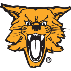 Kentucky Wildcats Alternate Logo 1986 - 2005
