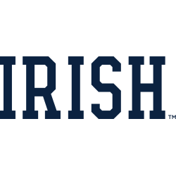 Notre Dame Fighting Irish Wordmark Logo 2015 - Present