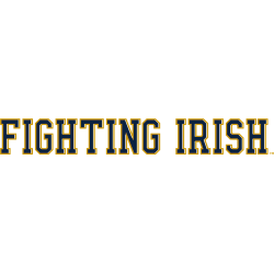 Notre Dame Fighting Irish Wordmark Logo 2015 - Present