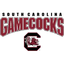 South Carolina Gamecocks Alternate Logo 2008 - 2018