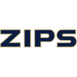 Akron Zips Wordmark Logo 2022 - Present