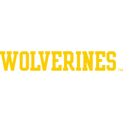 Michigan Wolverines Wordmark Logo 1994 - 2013