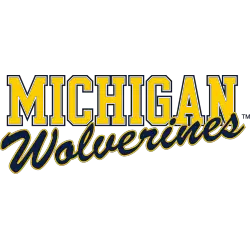 Michigan Wolverines Wordmark Logo 1994 - 2016