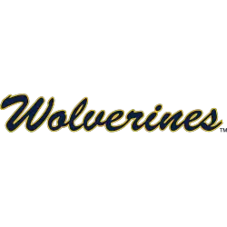 michigan-wolverines-wordmark-logo-1994-2016-4