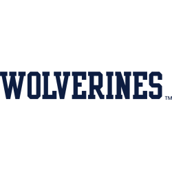 michigan-wolverines-wordmark-logo-1994-present