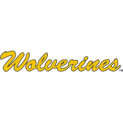 michigan-wolverines-wordmark-logo-2016-present-7