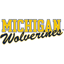 Michigan Wolverines Wordmark Logo 2016 - Present