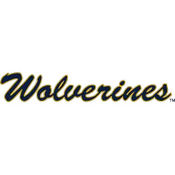 Michigan Wolverines Wordmark Logo 2016 - Present