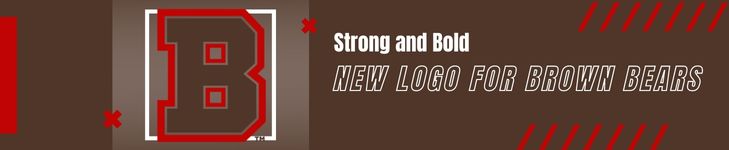 SLH News - New Logo Brown Bears