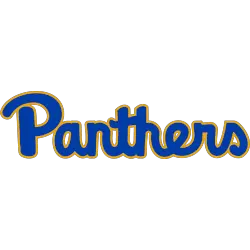 Pittsburgh Panthers Wordmark Logo 1987 - 1997