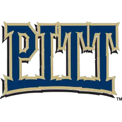 Pittsburgh Panthers Wordmark Logo 1997 - 2005