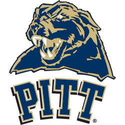 Pittsburgh Panthers Alternate Logo 2005 - 2006