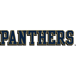 pittsburgh-panthers-wordmark-logo-2005-2016-3