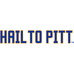 Pittsburgh Panthers Wordmark Logo 2020 - Present
