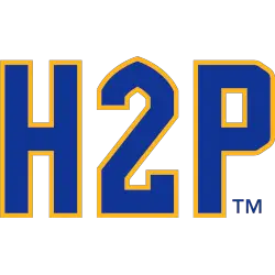 Pittsburgh Panthers Wordmark Logo 2020 - Present