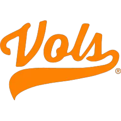 Tennessee Volunteers Wordmark Logo 2020 - Present