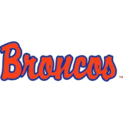 Boise State Broncos Wordmark Logo 1997 - 2001