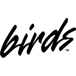 illinois-state-redbirds-wordmark-logo-1996-2005