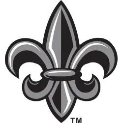 Custom Name Louisiana Ragin Cajuns Logo Diamond, Silver, Gold
