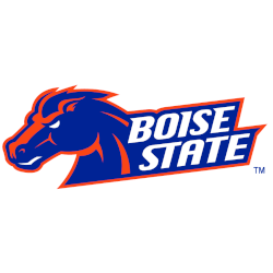 Boise State University Broncos Neck Gaiter Camo Green Youth