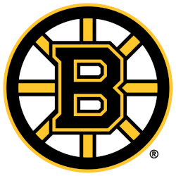 Boston Bruins Primary Logo 2008