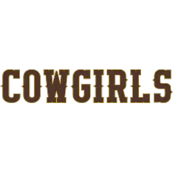 wyoming-cowboys-wordmark-logo-2013-2022-3