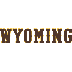 Wyoming Cowboys Wordmark Logo 2013 - 2022