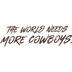 Wyoming Cowboys Wordmark Logo 2018 - Present