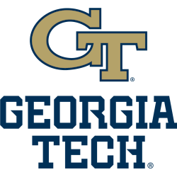 Georgia Tech Yellow Jackets Alternate Logo 2018 - Present
