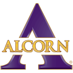 Custom Alcorn State Braves Backetball Jersey Name and Number College Basketball Honoring White