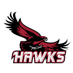 st-josephs-hawks-alternate-logo-2002-2007-4