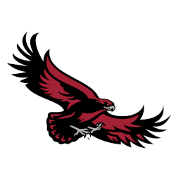 St. Joseph's Hawks Alternate Logo 2002 - 2018