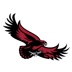 st-josephs-hawks-primary-logo