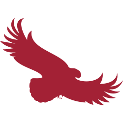St. Joseph's Hawks Alternate Logo 2018 - Present