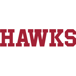 St. Joseph's Hawks Wordmark Logo 2018 - Present