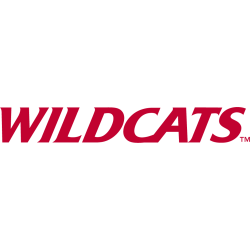 arizona-wildcats-wordmark-logo-2013-2018-2