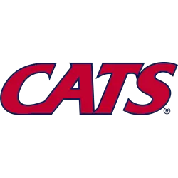 Arizona Wildcats Wordmark Logo 2013 - Present