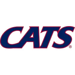 Arizona Wildcats Wordmark Logo 2013 - Present