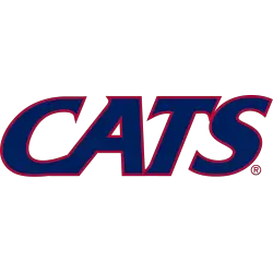 arizona-wildcats-wordmark-logo-2013-present-3