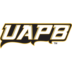 Arkansas-BP Golden Lions Wordmark Logo 2015 - Present