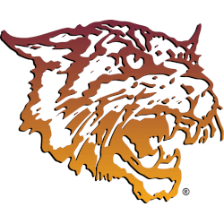 bethune-cookman-wildcats-primary-logo-2000-2016