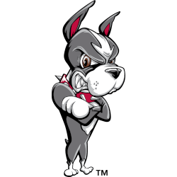 boston-terrier-alternate-logo-1996-2005-4