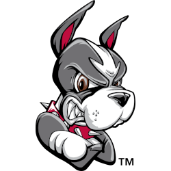 Boston Terrier Alternate Logo 1996 - 2005