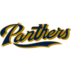 FIU Panthers Wordmark Logo 2017 - Present