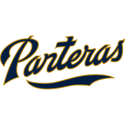 fiu-panthers-wordmark-logo-2017-present-2