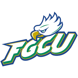 Florida Gulf Coast Eagles Champion Icon Logo Basketball Jersey