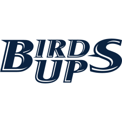 utsa-roadrunners-wordmark-logo-2022-present-2