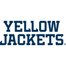 Georgia Tech Yellow Jackets Wordmark Logo 2022 - Present
