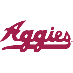 New Mexico State Aggies Wordmark Logo 1990 - 1995